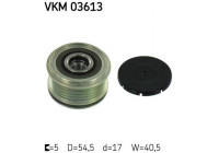 Alternator Freewheel Clutch VKM 03613 SKF