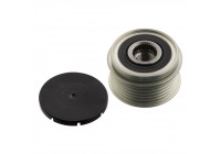 Alternator Freewheel Clutch