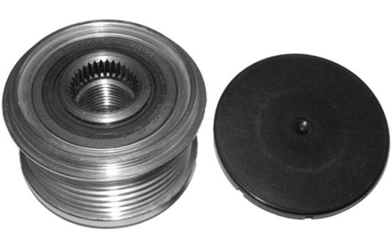 Alternator Freewheel Clutch