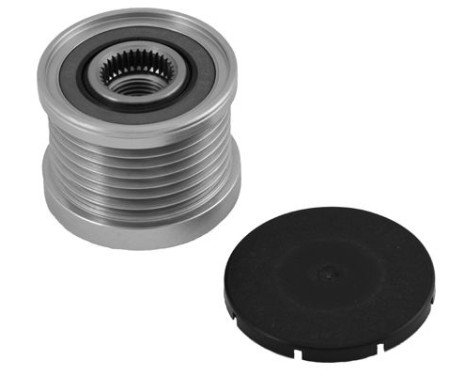 Alternator Freewheel Clutch