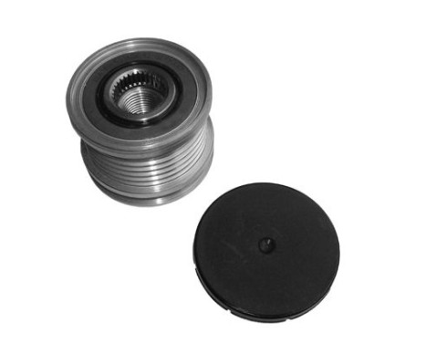 Alternator Freewheel Clutch