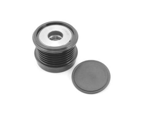 Alternator Freewheel Clutch