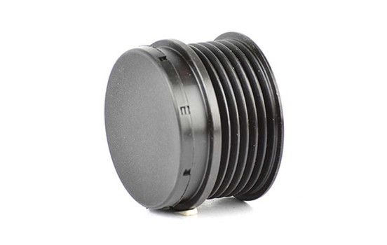 Alternator freewheel