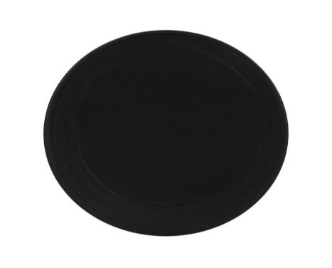 Belt pulley, alternator