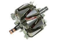 Rotor, generator