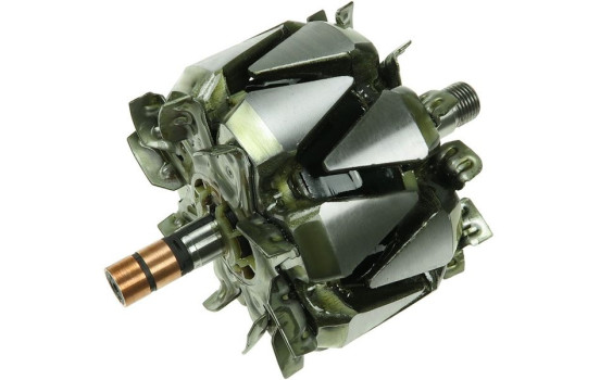 Rotor, generator