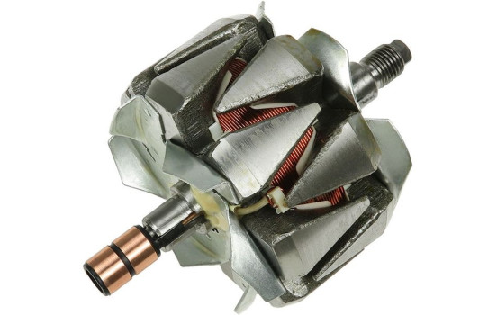 Rotor, generator