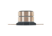 Slip ring, generator