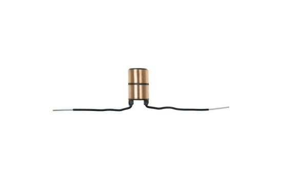 Slip ring, generator