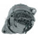 Alternator 12033880 Eurotec, Thumbnail 3