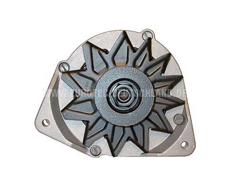 Alternator 12034010 Eurotec