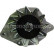 Alternator 12036840 Eurotec, Thumbnail 2