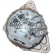 Alternator 12038650 Eurotec, Thumbnail 3