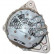 Alternator 12038650 Eurotec, Thumbnail 6