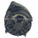 Alternator 12040260 Eurotec, Thumbnail 6