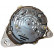 Alternator 12040340 Eurotec, Thumbnail 3