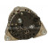 Alternator 12090359 Eurotec, Thumbnail 3