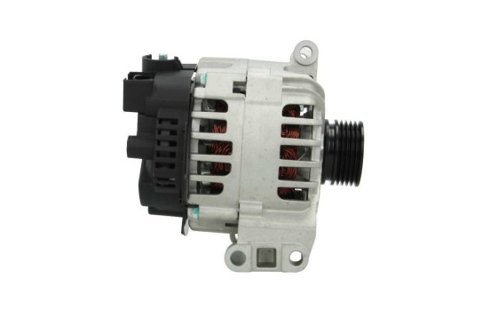 Alternator 555.560.090.004 PlusLine, Image 4