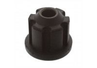Mount, alternator