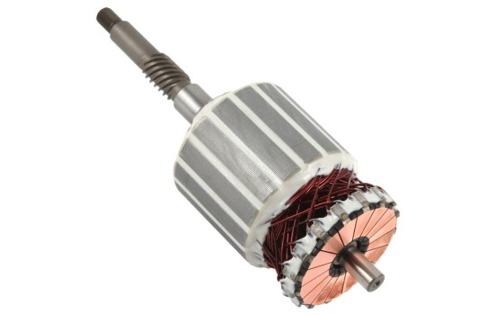 Anchor, starter +Line Selected