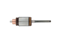 Anchor, starter +Line Selected