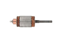 Anchor, starter +Line Selected