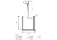 Carbon brush, starter motor