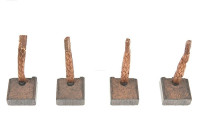 Carbon brush, starter motor