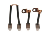 Carbon brush, starter motor