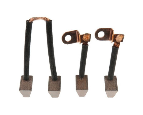 Carbon brush, starter motor