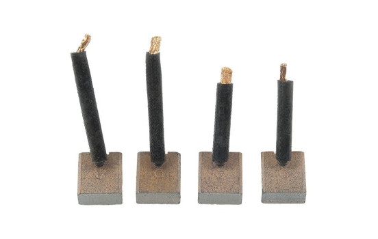 Carbon brush, starter motor