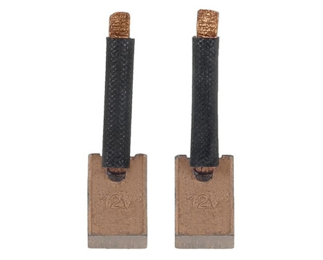 Carbon brush, starter motor