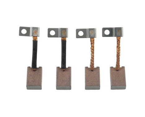 Carbon brush, starter motor