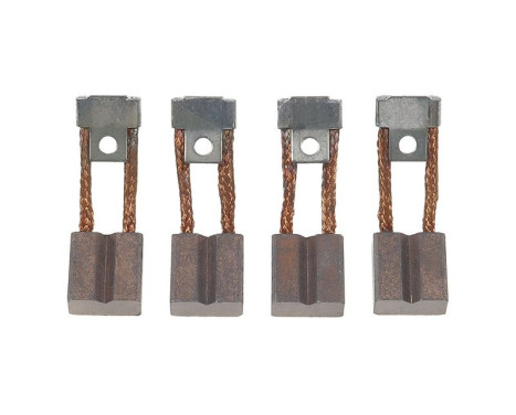 Carbon brush, starter motor