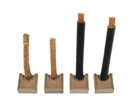 Carbon brush, starter motor