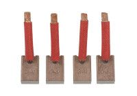 Carbon brush, starter motor