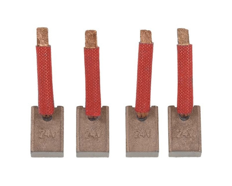 Carbon brush, starter motor