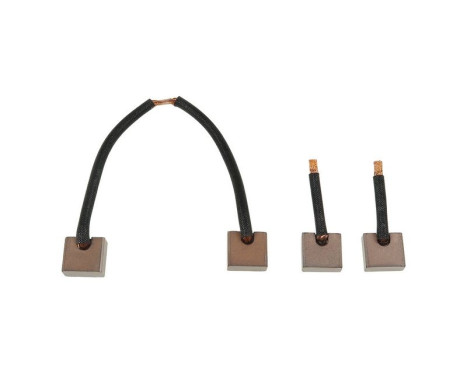 Carbon brush, starter motor