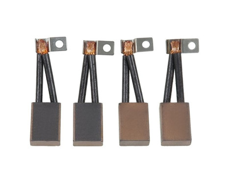 Carbon brush, starter motor