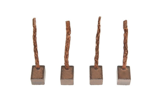 Carbon brush, starter motor