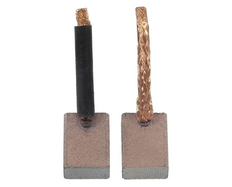 Carbon brush, starter motor