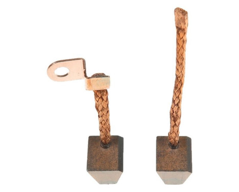 Carbon brush, starter motor