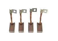 Carbon brush, starter motor