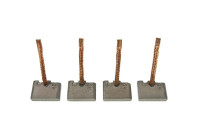 Carbon brush, starter motor