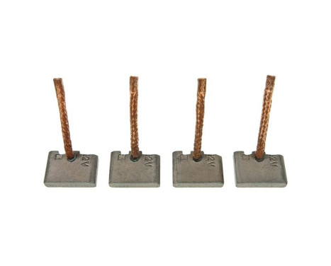 Carbon brush, starter motor