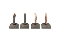 Carbon brush, starter motor