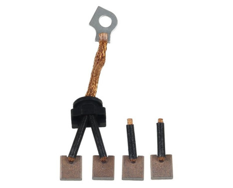 Carbon brush, starter motor