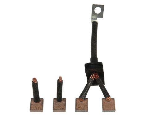 Carbon brush, starter motor