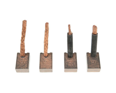 Carbon brush, starter motor