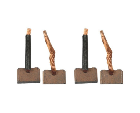 Carbon brush, starter motor